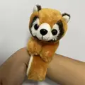 raccoon