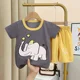 27 darkgrayelephant