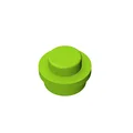 1000pcs light green