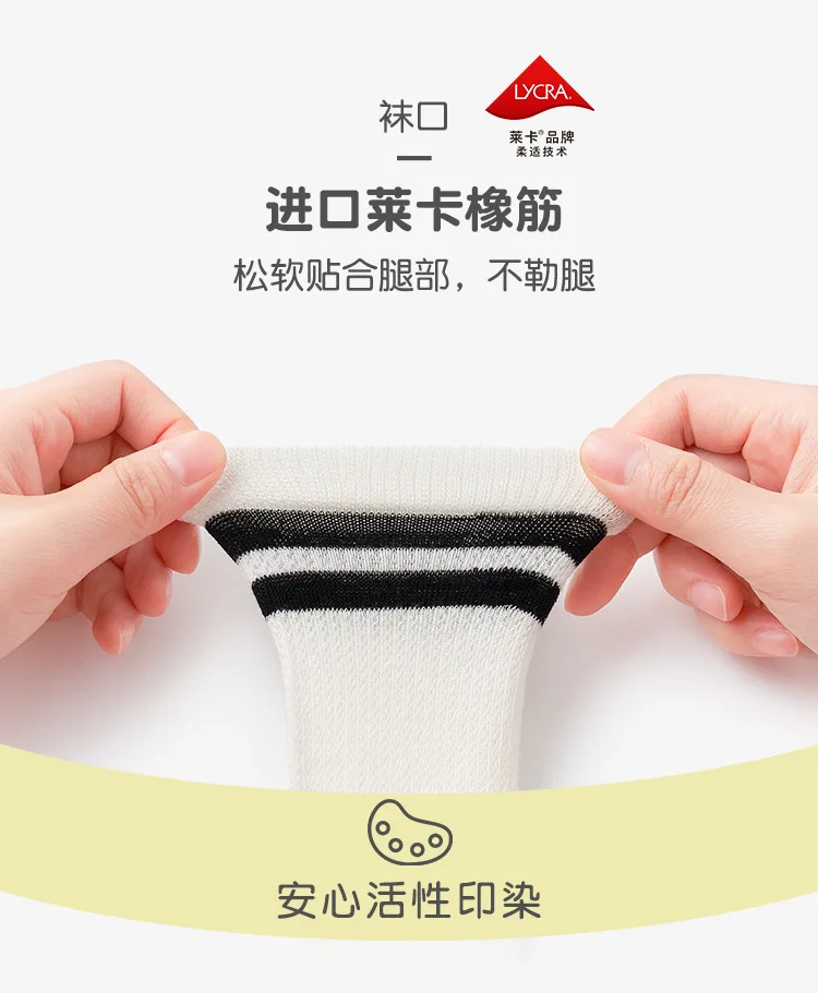 Versatilidad completa - Múltiples usos