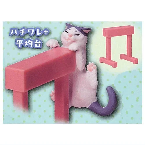 bicolor cat