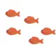 large fish