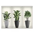A 3PCS
