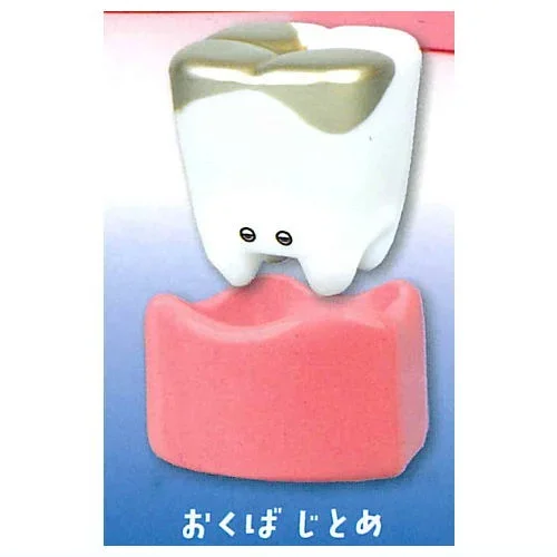 molar Jitome