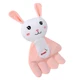 White Rabbit