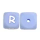 100pcs R