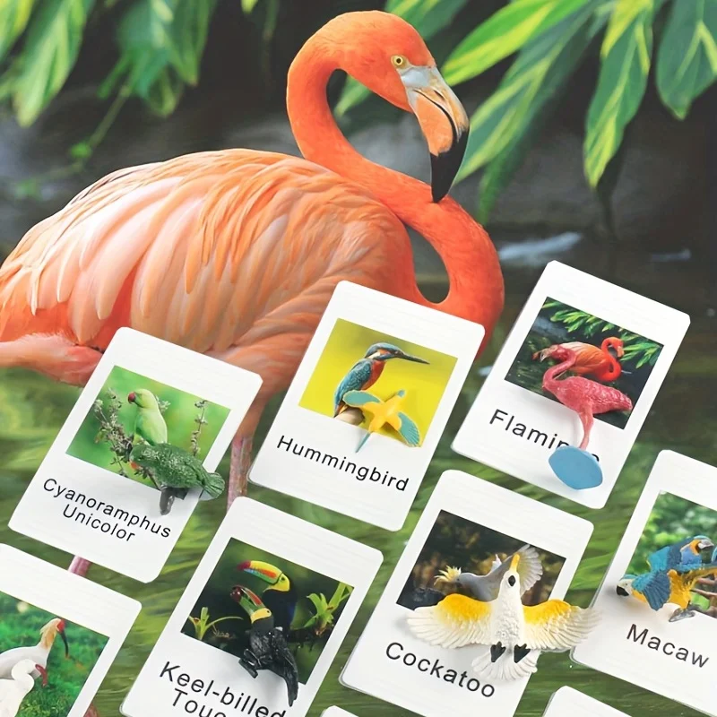 Tarjetas educativas de animales para niños – Aprendizaje idiomas Montessori - imagen 5