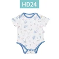 HD24