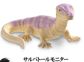 salvator monitor