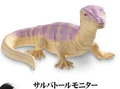salvator monitor