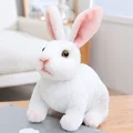 SquattingWhiteRabbit