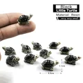 Little Turtle-Black