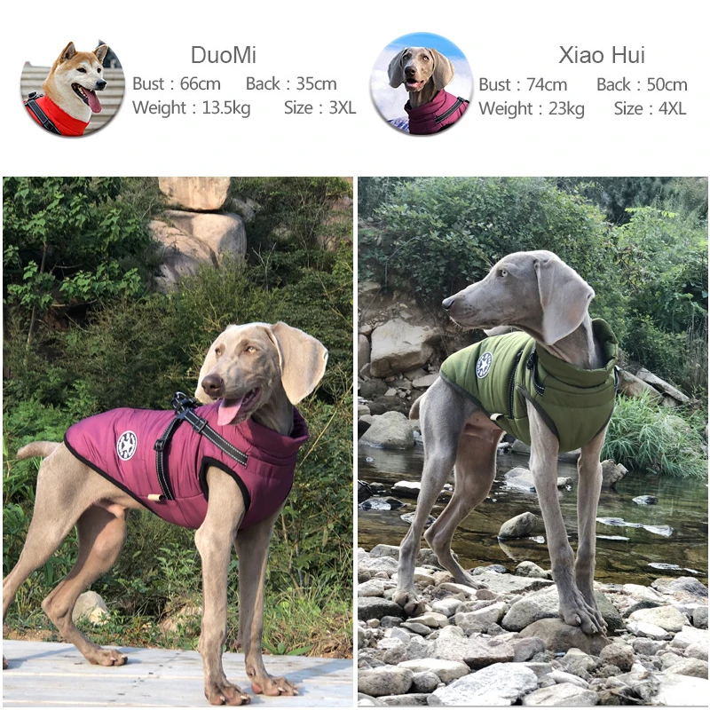 Abrigos de invierno para perros, chaqueta repelente al agua con arnés, ropa gruesa y cálida acolchada para perros, traje de nieve reflectante para perros pequeños - imagen 4