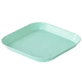 shallow green
