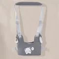 Grey bear