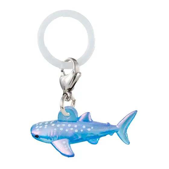 Whale Shark A