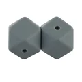 10pcs Dim gray