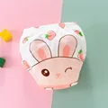 Pink Rabbit