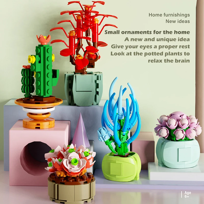 Caja sorpresa bloques de construcción con flores suculentas educativos - imagen 2