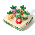 Pulling Carrot Toy 1