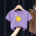 DSN 487 purple