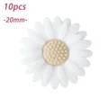 20mm 01