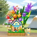 Bear House