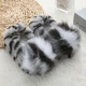 Cat grey