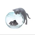 gato gris pez dorado