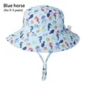Blue horse 0-3