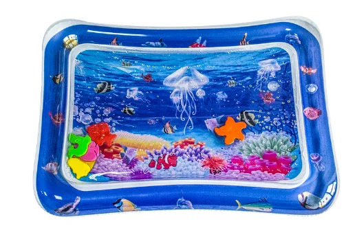Square jellyfish