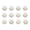12pcs