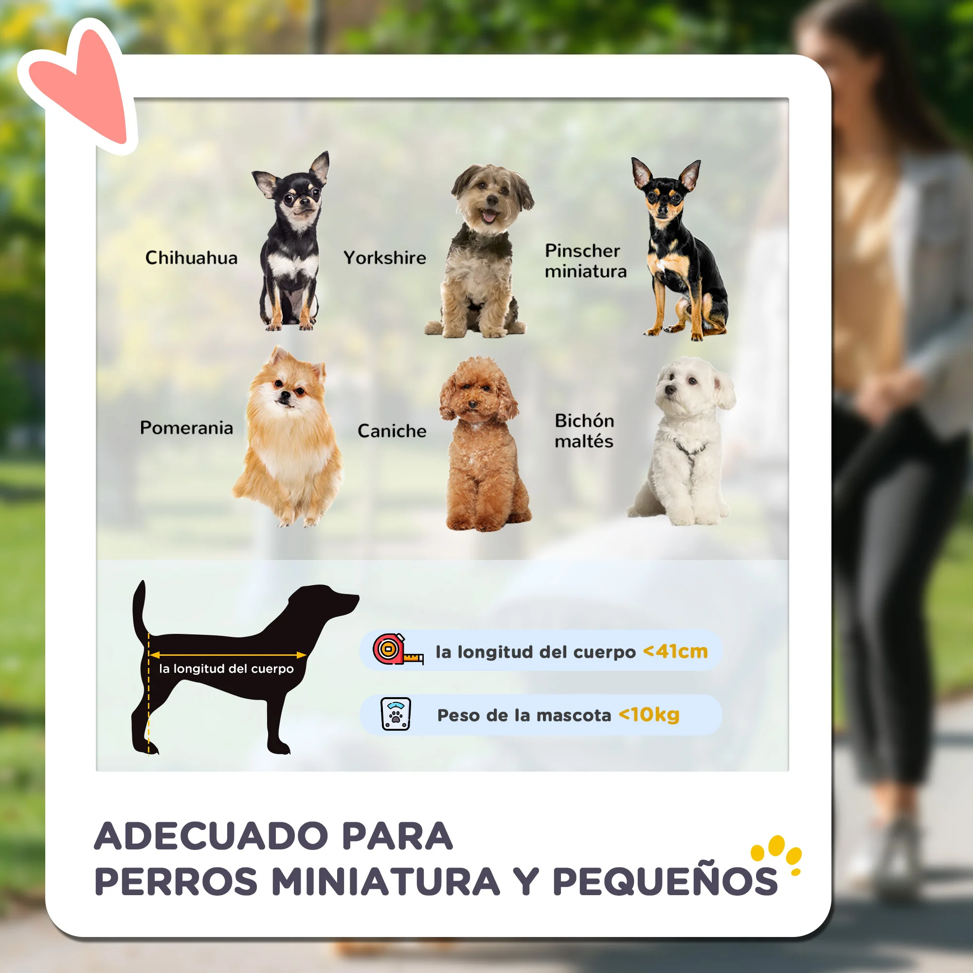 PawHut Carrito para Perros Plegable Cochecito para Mascotas Carrito para Perros Pequeños con 3 Ruedas Ventanas de Malla Cesta de Almacenaje y Correas de Seguridad 109,5x57,5x106,5 cm Rojo - imagen 4
