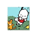 Pochacco 09