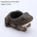 frog