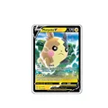 Morpeko