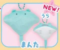 Manta ray