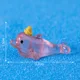 10pcs Pink Dolphin