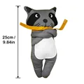 Raccoon