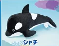Killer Whale