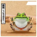 Sekiwake frog A
