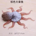 Brown Octopus