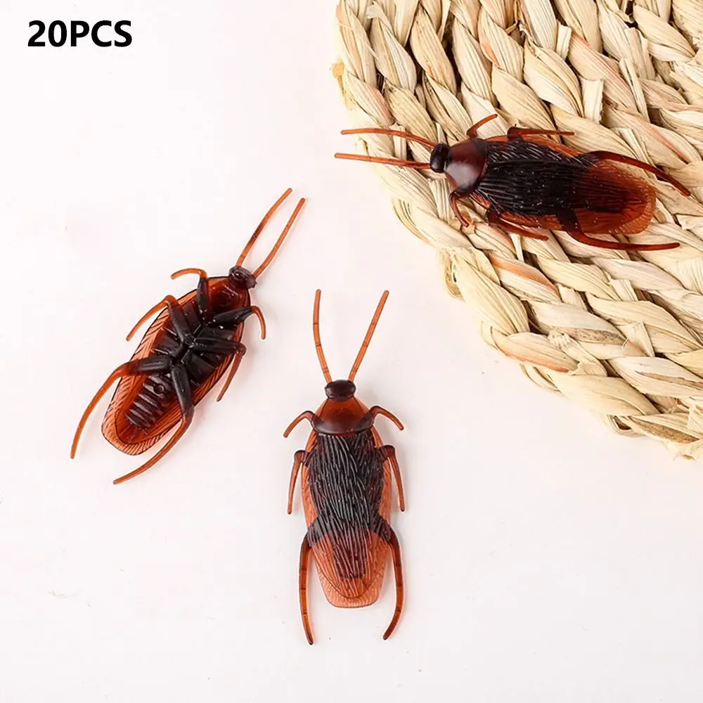 Cockroaches