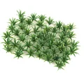 50pcs 2.5cm