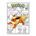 Flareon 10