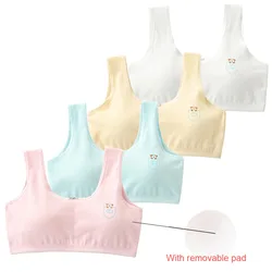Ropa interior de algodón para niñas adolescentes