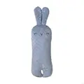 for Brother Rabbit