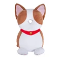 Corgi