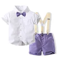 tzf3670-purple