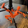 Orange black
